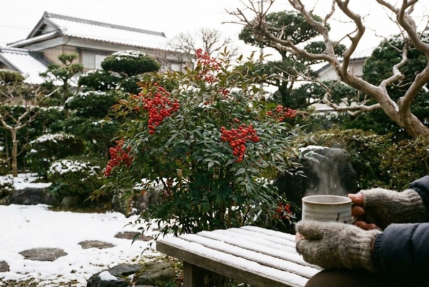 鳥取の冬の庭づくり！手入れと魅力で彩る一年中楽しめる庭